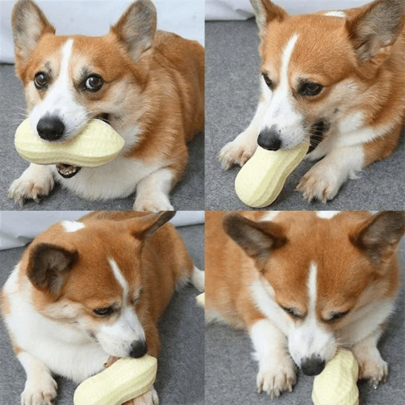 Dog Chewing Toy Simulation Peanut Squeaking Plaything